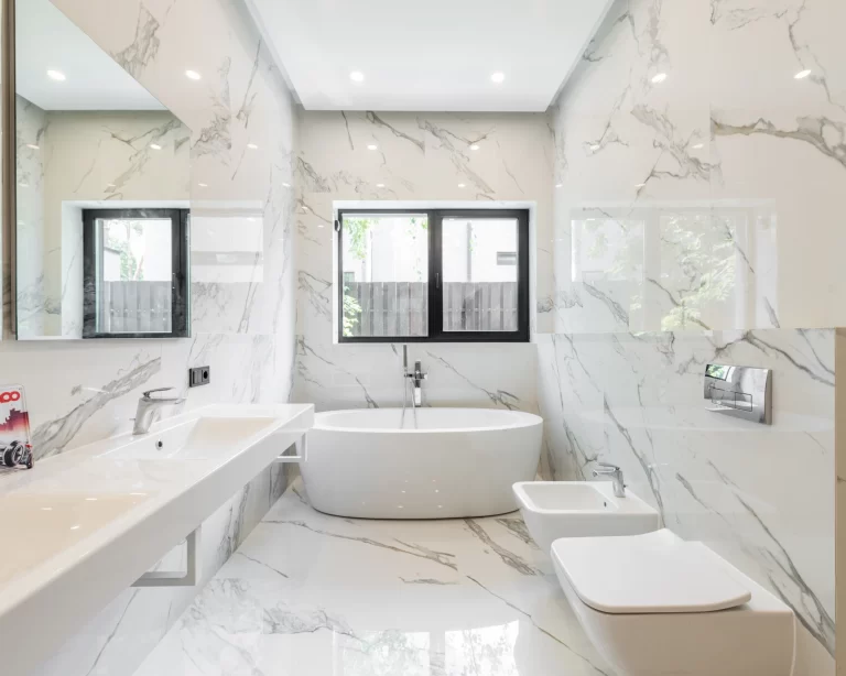Bathroom Cleaning